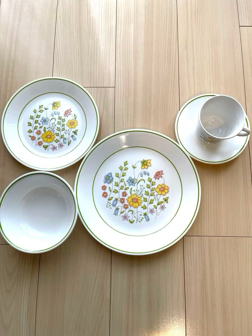 コレール コーニング製 メドウ(草原) 20ピースセット 【最終値下げ】