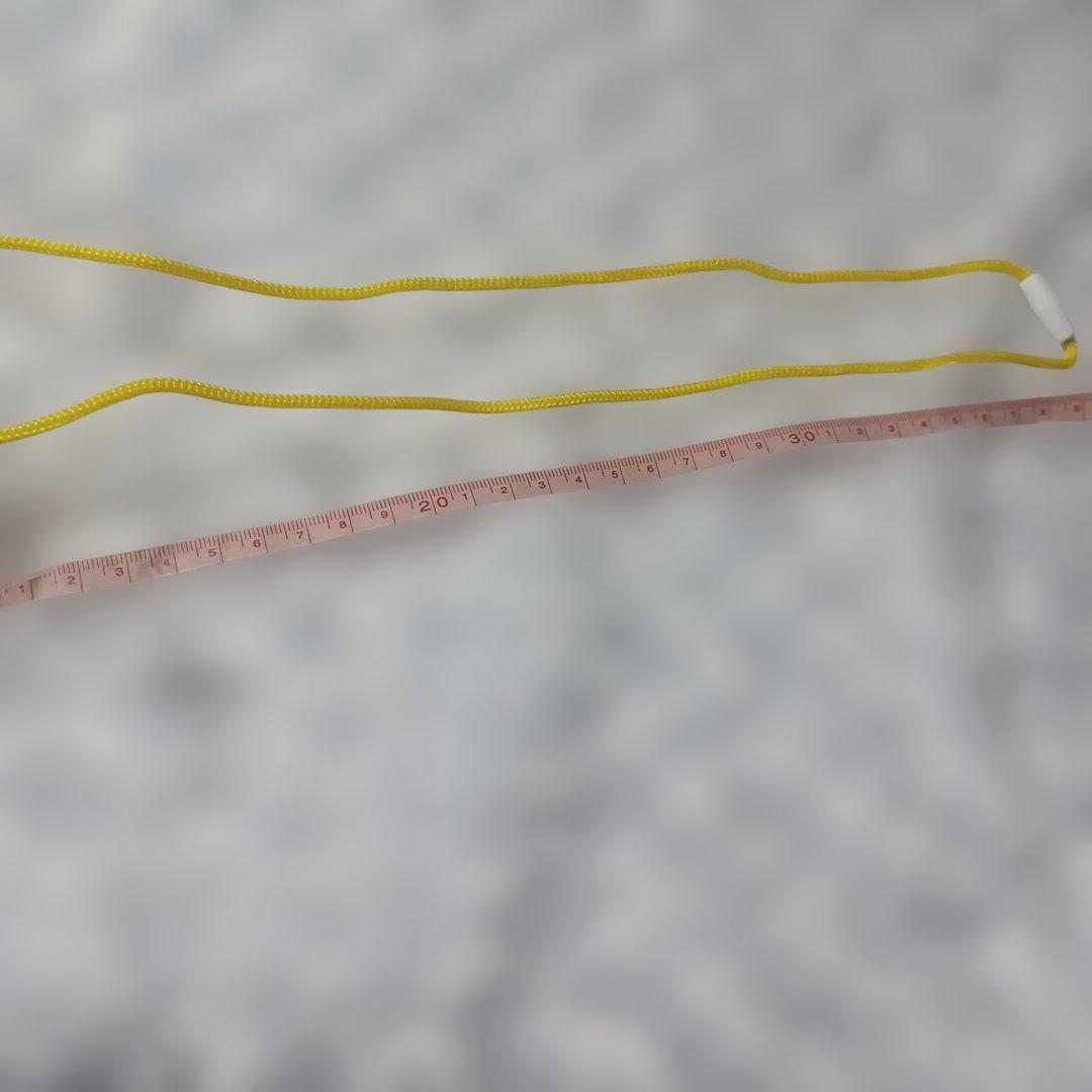 お値下げ【2002年製】ピチューぬいぐるみ ポーチ 　映画５周年限定品当時物レア