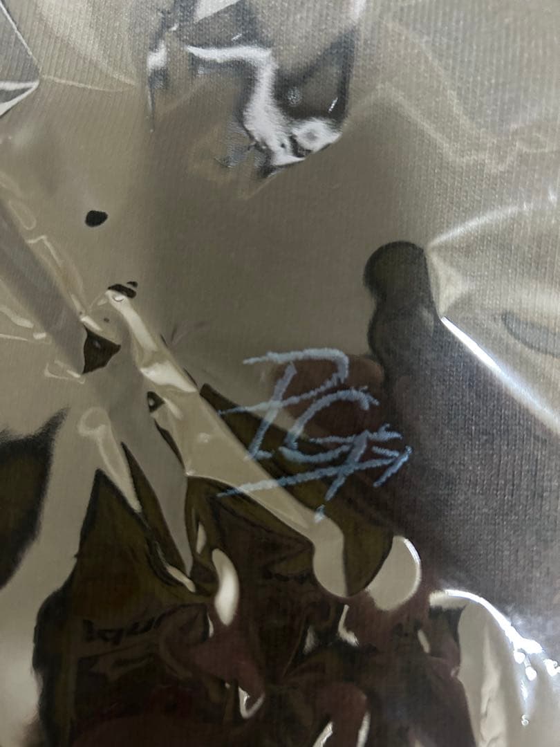 ポルノグラフィティ ロマポルT Mサイズ