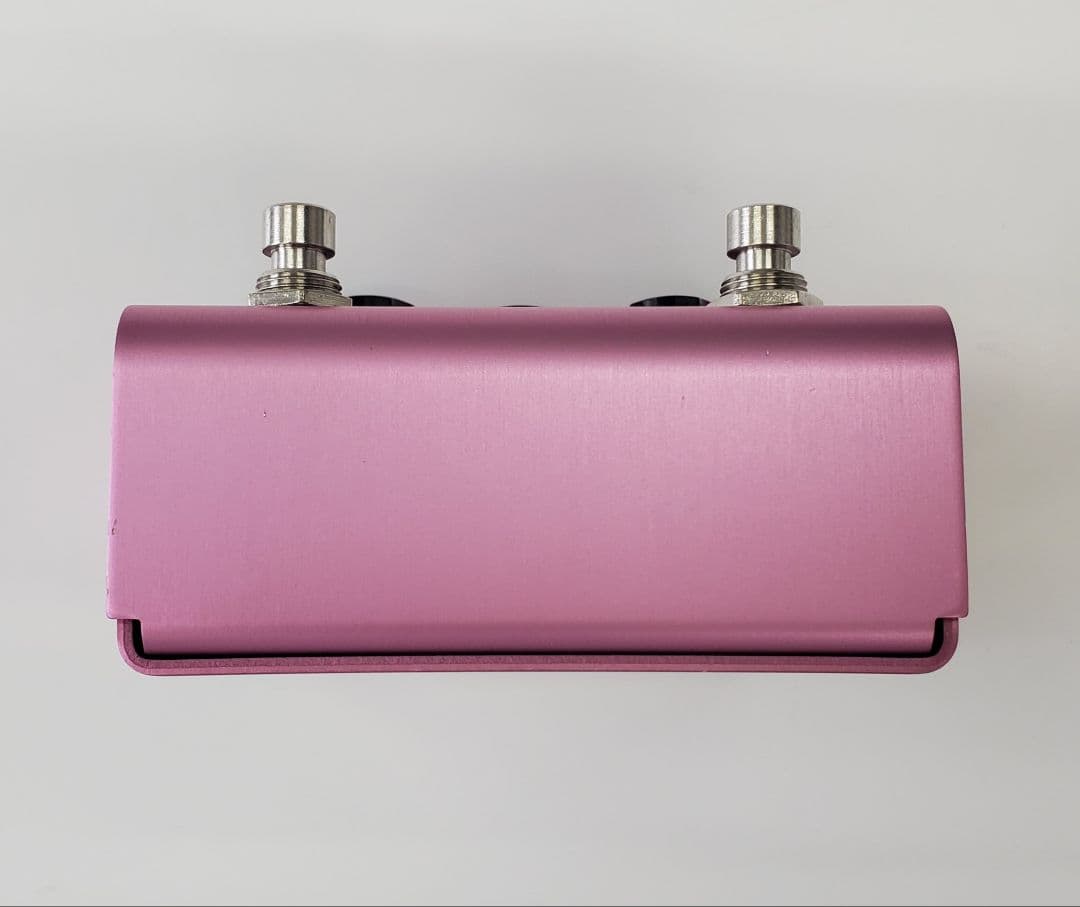 Strymon DIG デジタルディレイ エフェクター