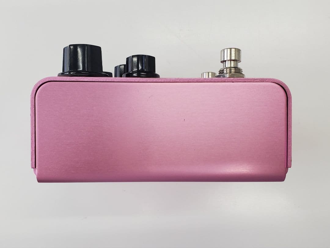 Strymon DIG デジタルディレイ エフェクター