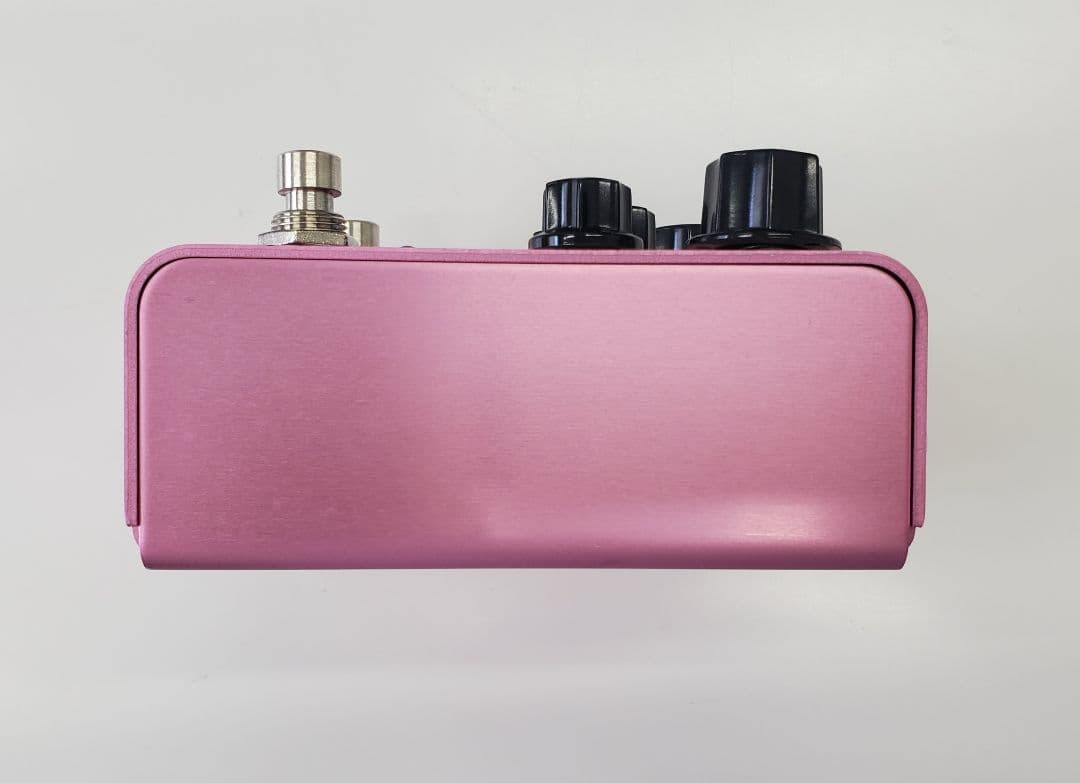 Strymon DIG デジタルディレイ エフェクター