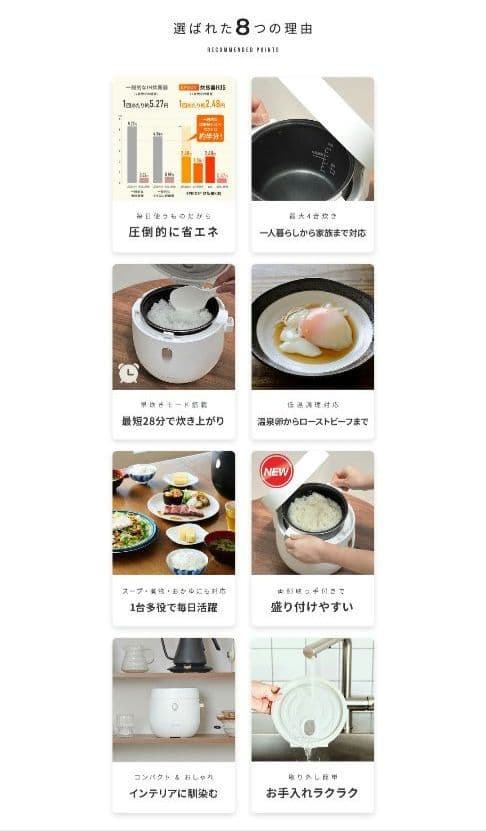 エペイオス(Epeios 炊飯器 4合炊き 低温調理 早炊き マイコン おしゃれ