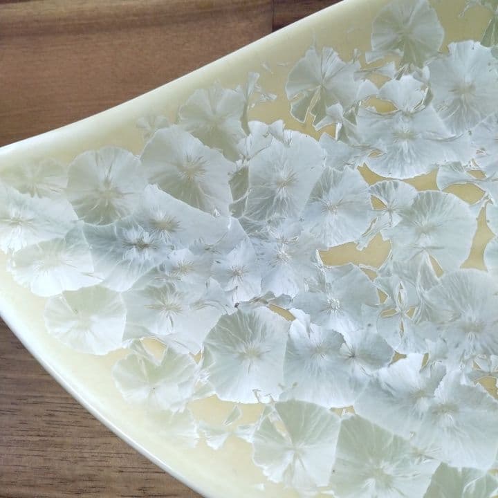 京都陶あん花結晶大皿