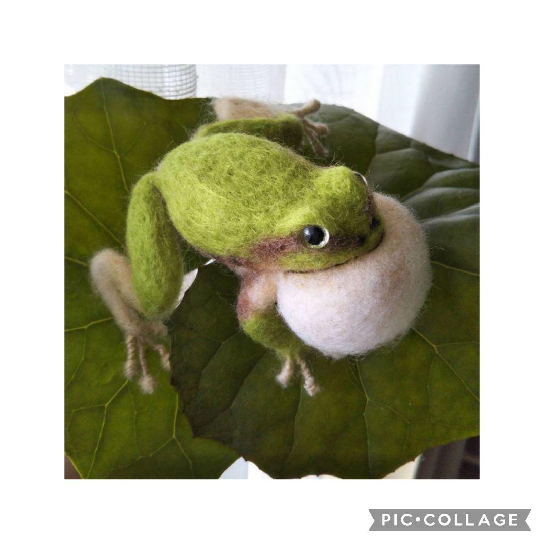 カエル(羊毛フェルト)