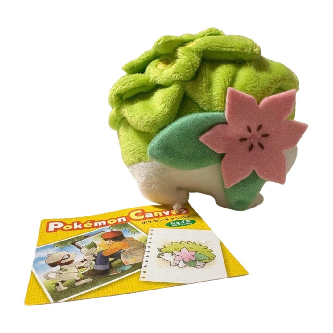 【新品タグ付き】ポケモンキャンバス シェイミ ぬいぐるみ