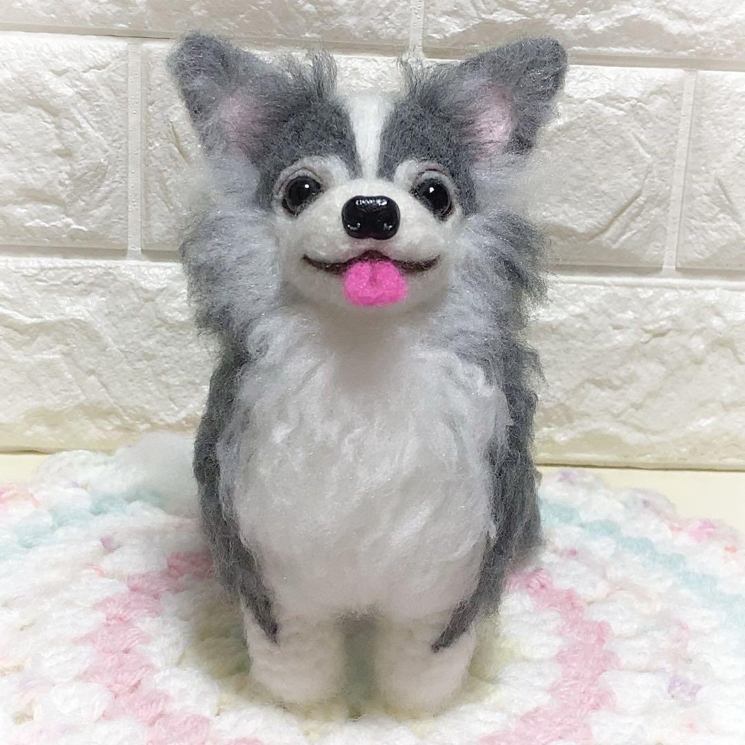 ブルータン♡チワワちゃん