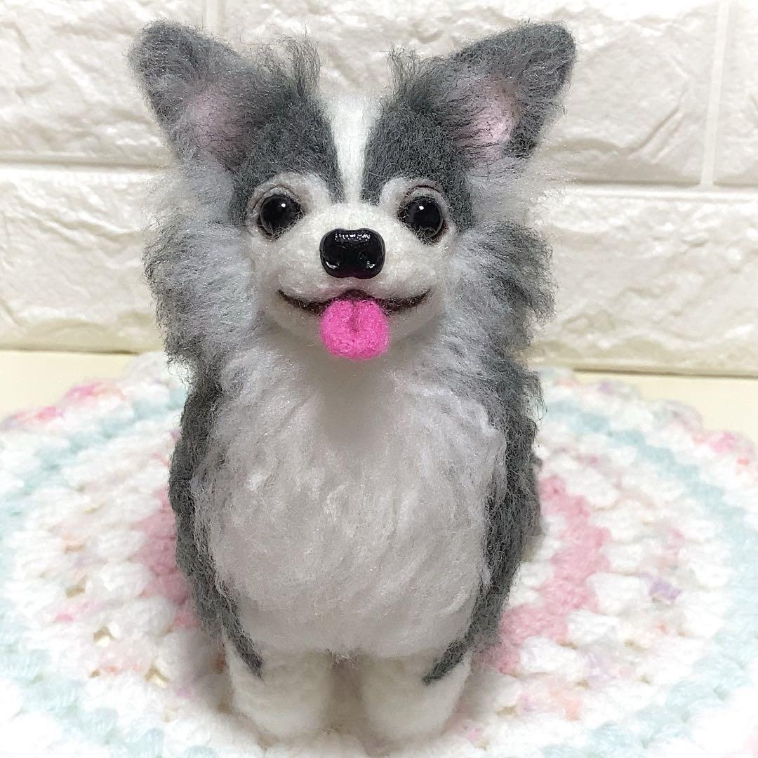 ブルータン♡チワワちゃん