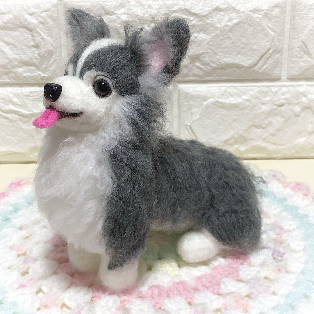 ブルータン♡チワワちゃん