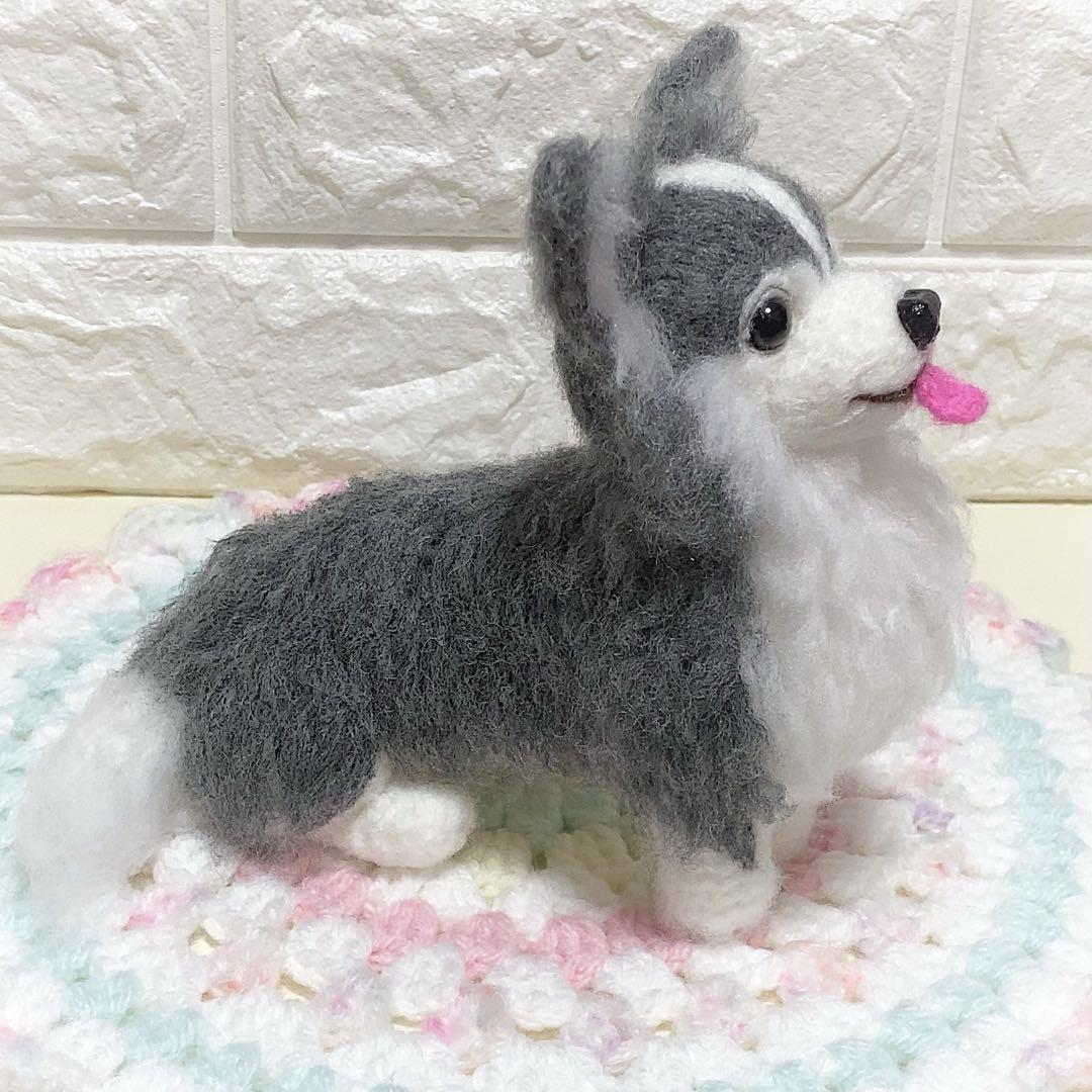 ブルータン♡チワワちゃん
