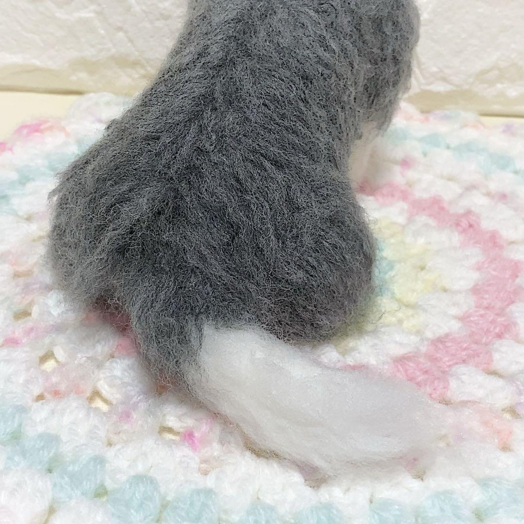 ブルータン♡チワワちゃん