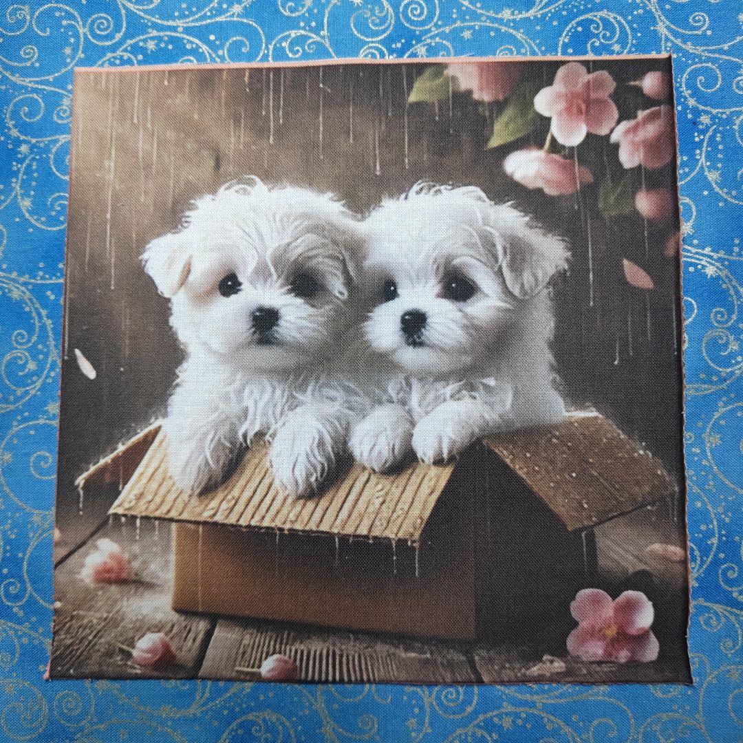 mafuyu　パネル　ワンコさん＆ネコちゃん柄　30枚