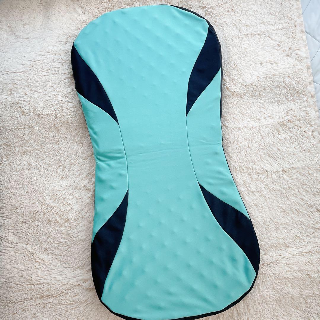 nishikawa 西川 エアークッション Lサイズ ライトグリーン