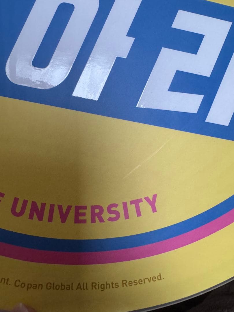 TWICE サナ うちわ セット 13枚セット