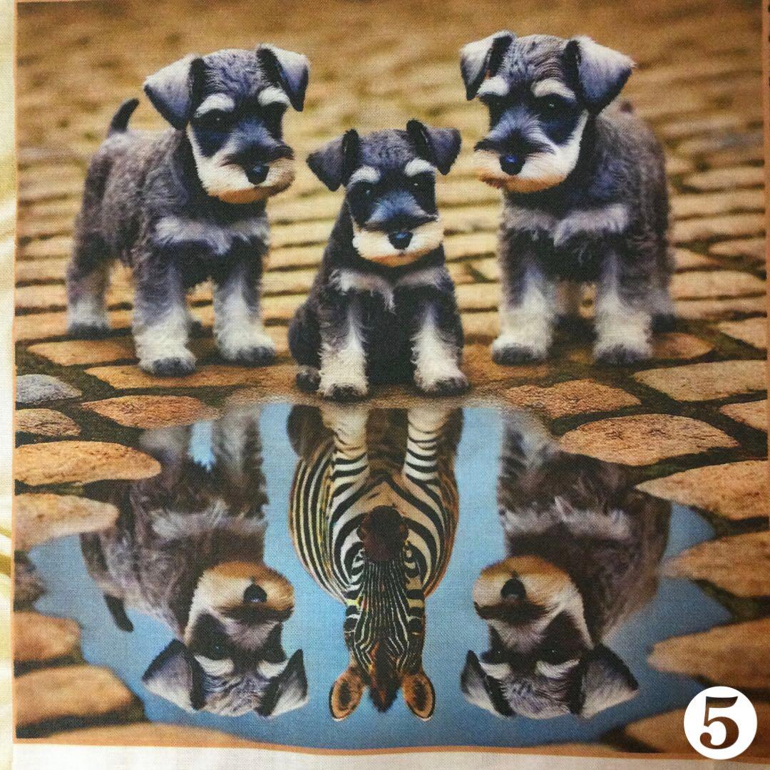 ＊オーダーパネルご紹介＊水たまりのビックリわんちゃんパネル(6枚)