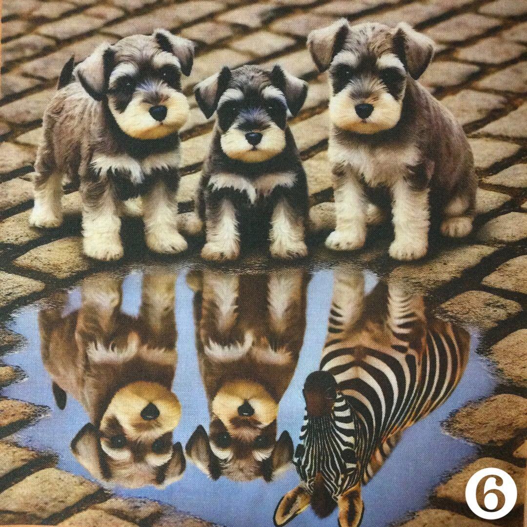 ＊オーダーパネルご紹介＊水たまりのビックリわんちゃんパネル(6枚)