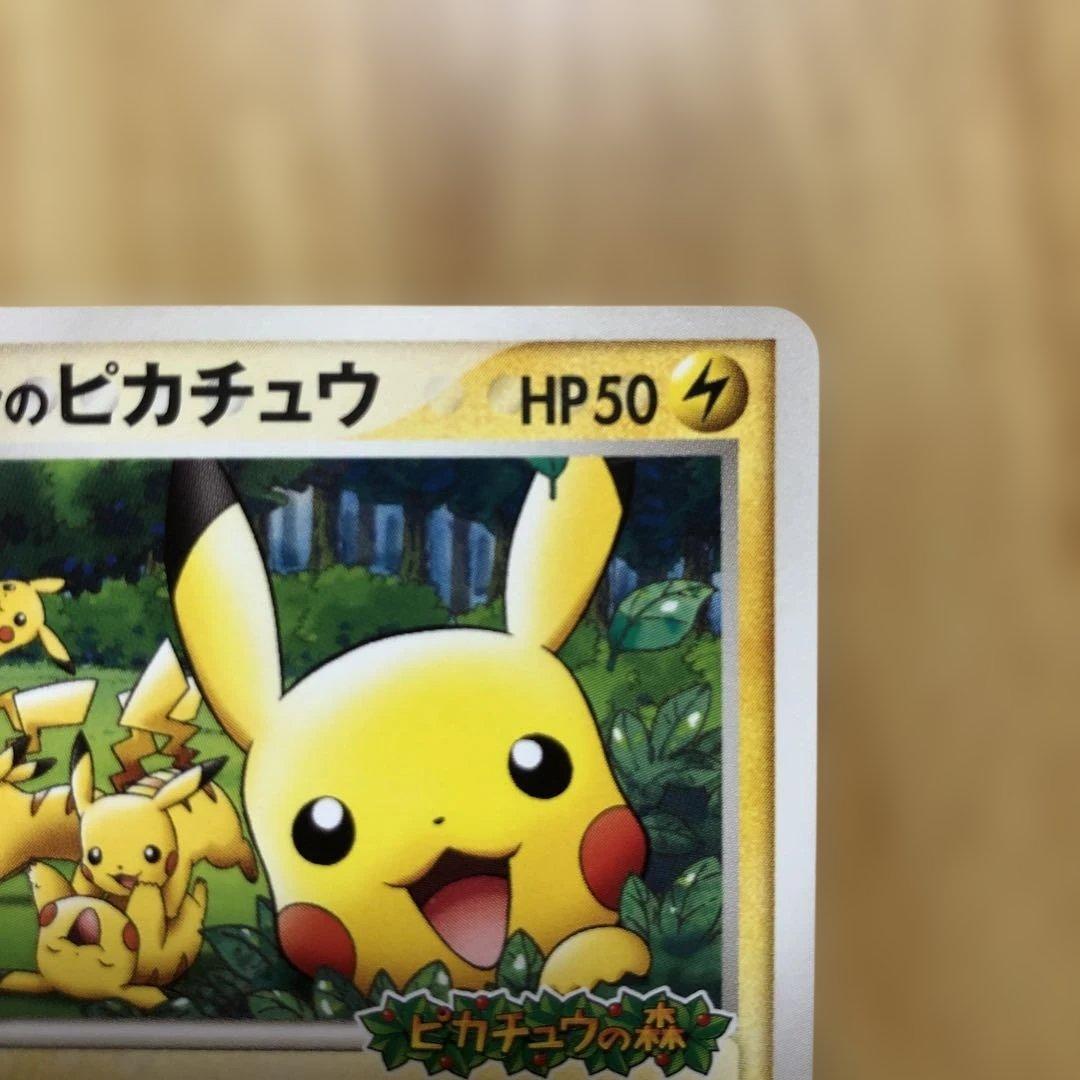 ポケパークのピカチュウ