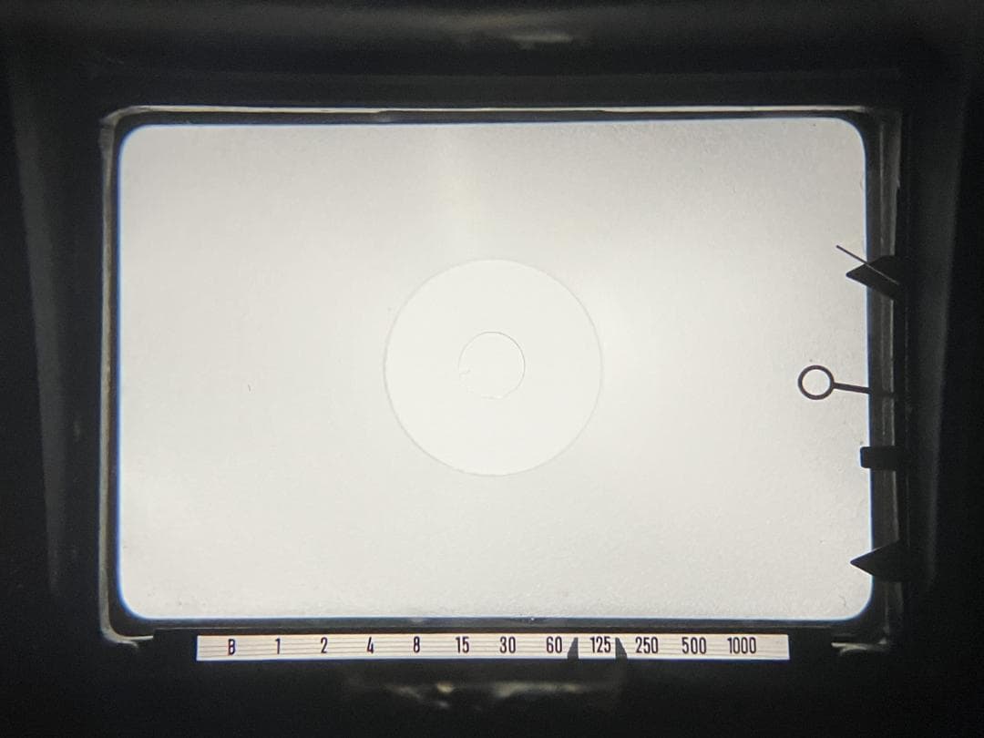 ミノルタ SRT101 & MC ROKKOR-PF 55mm F1.7 #59