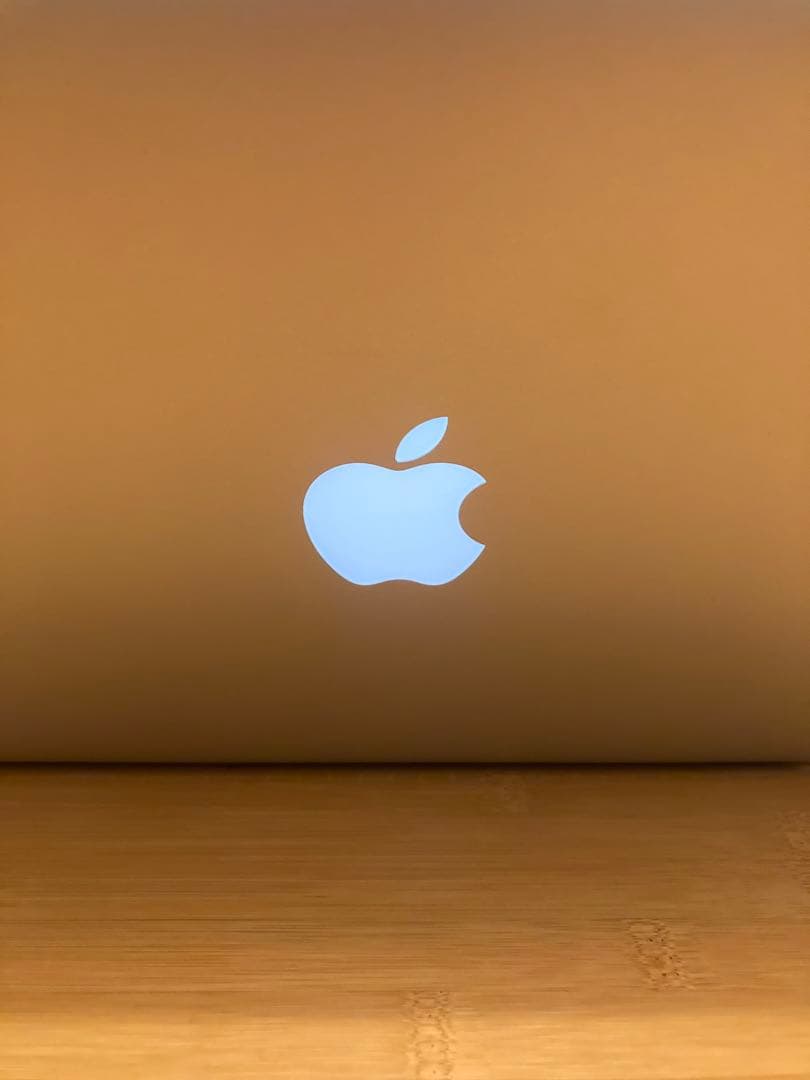 【ジャンク品】APPLE MacBook Air MC969J/A