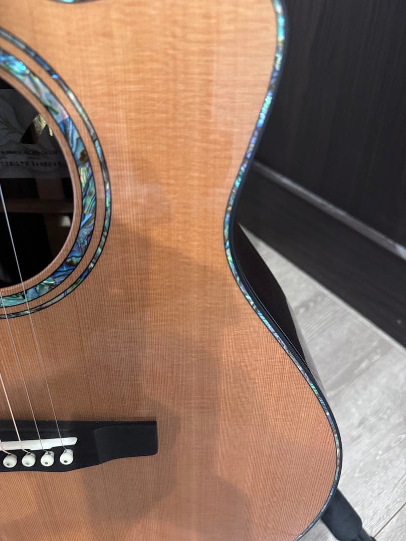 morris s-102III LTD サウンドメッセ大阪2024出展ギター