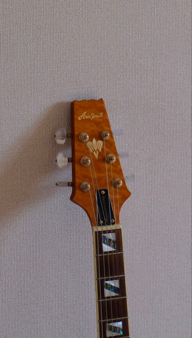 Aria Pro Ⅱ PE-Anniversary 限定モデル ハードケース付属