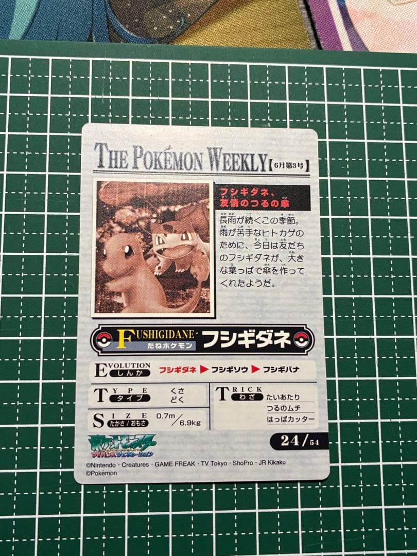 P6453 フシギダネ ポケモンウィークリーカード NEWS No.24