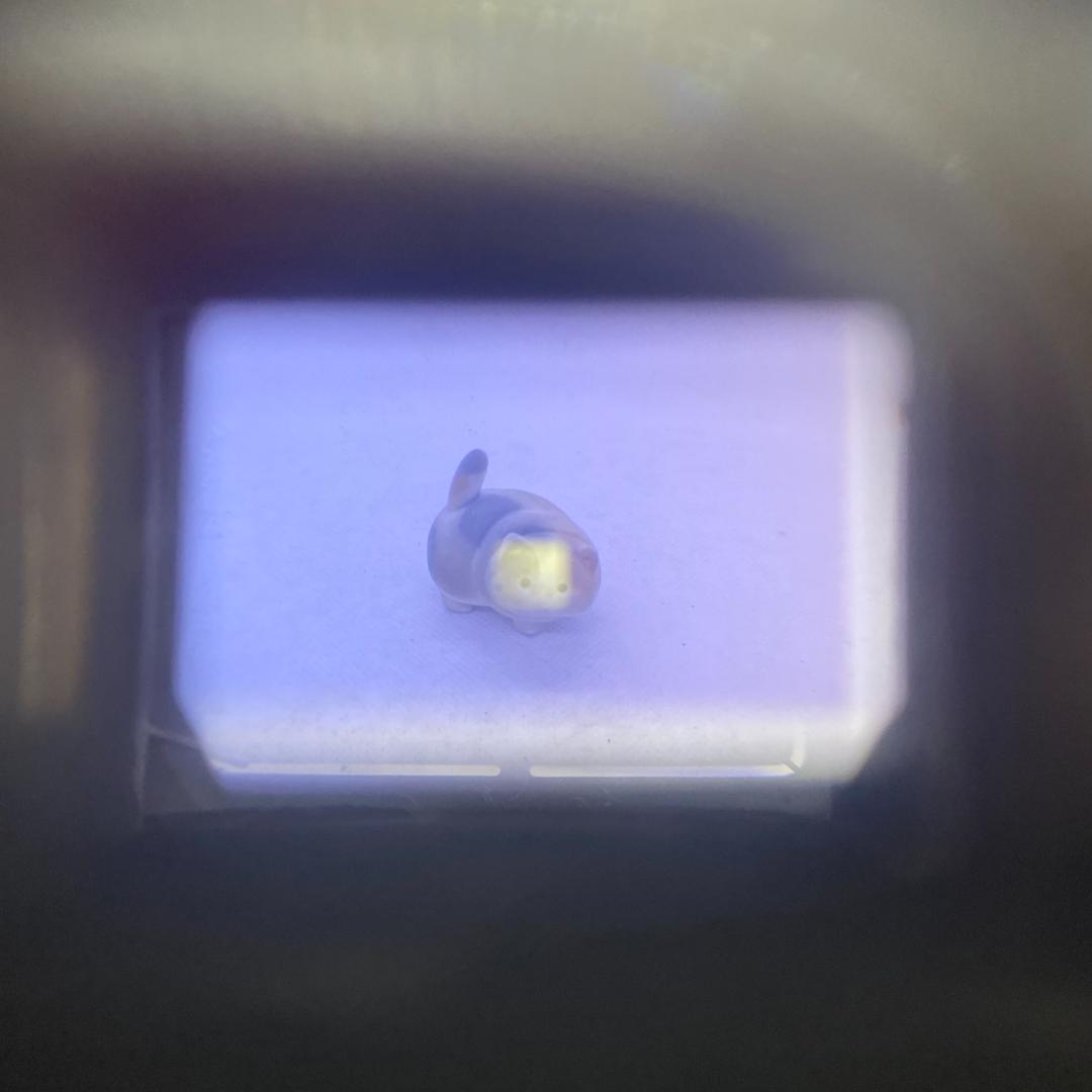 【C6259】OLYMPUS オリンパス XA フイルムカメラ