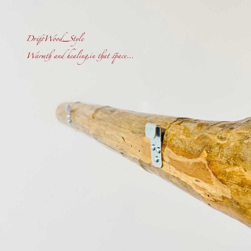 流木インテリア コートラック コート掛け ウォールハンガー 北欧 自然 N1