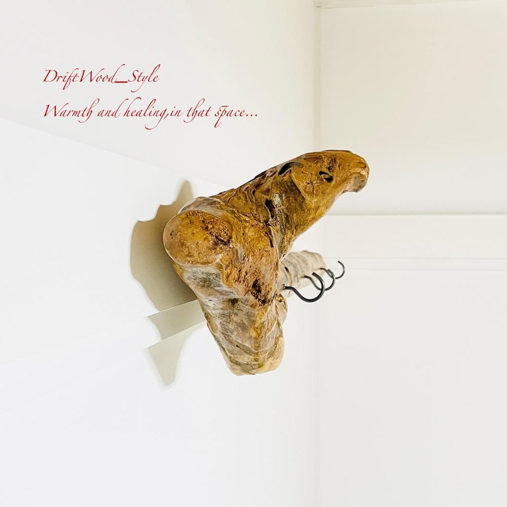 流木インテリア コートラック コート掛け ウォールハンガー 北欧 自然 N1