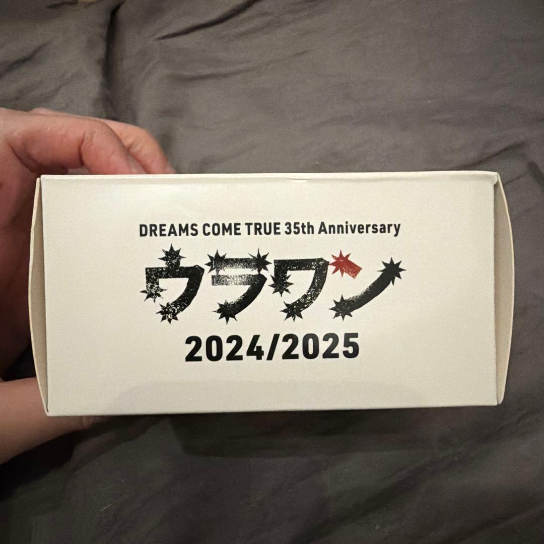 ウラワン　ドリカム　アヒルコースタープルバックカー