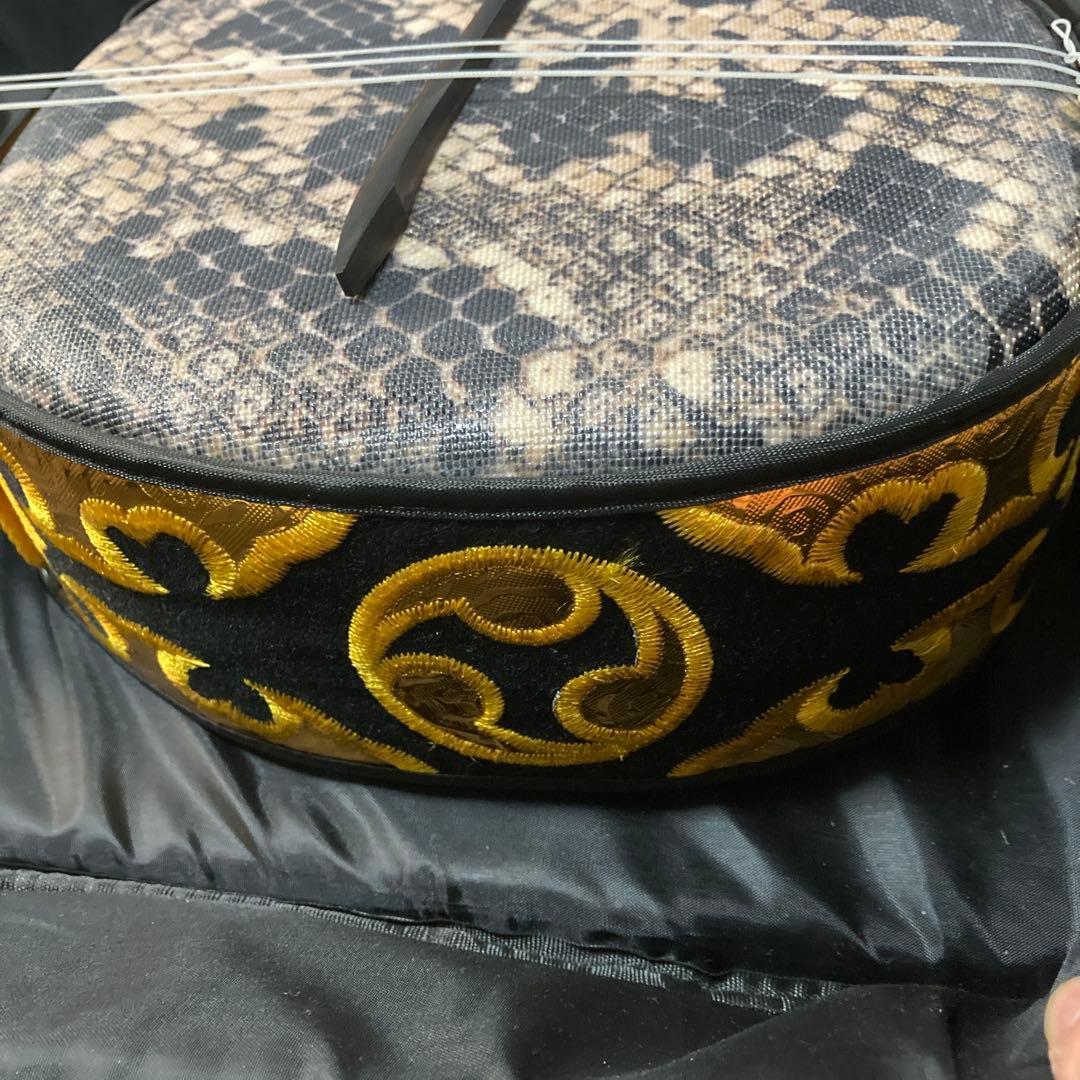 三線 DVD付き スターターセット 沖縄本島柄人工革