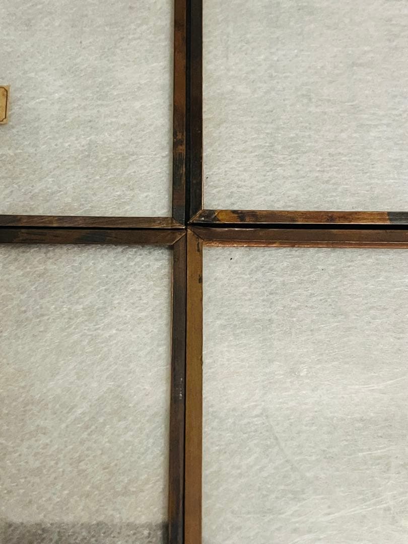 専用【はいいろオオカミ+花屋 西別府商店】ガラス標本 / Sサイズ　5枚セット