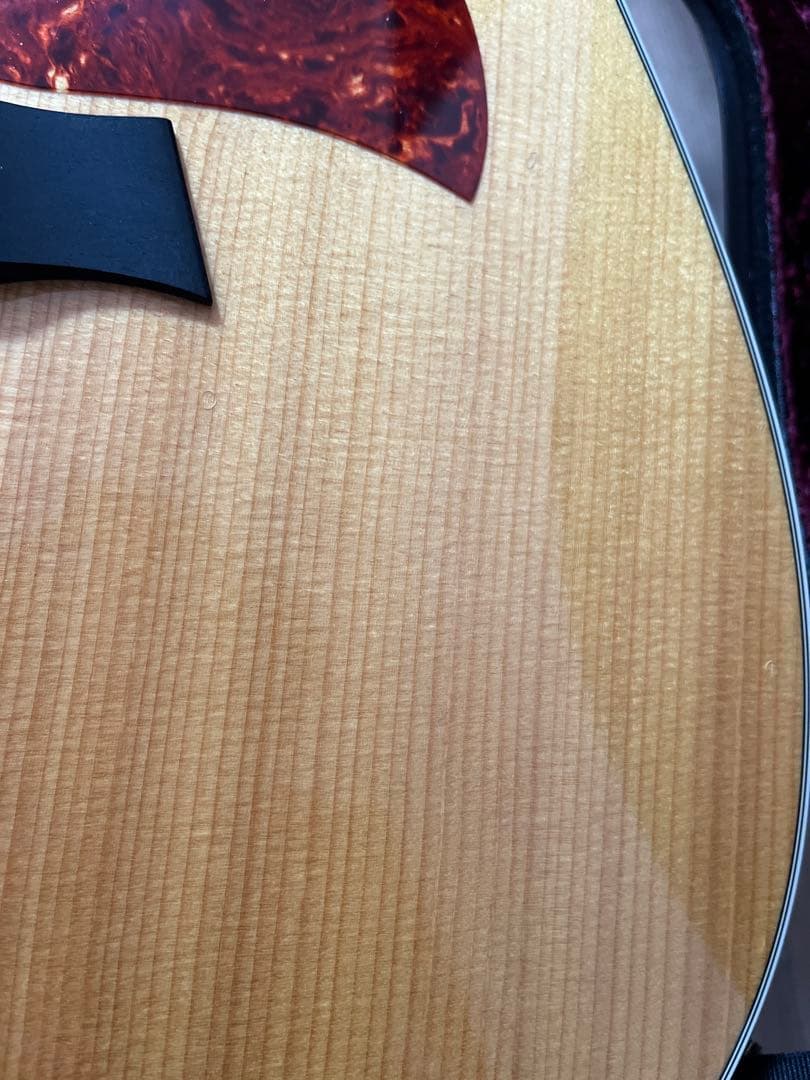 Taylor 210DLX 2015年製 ハードケース付