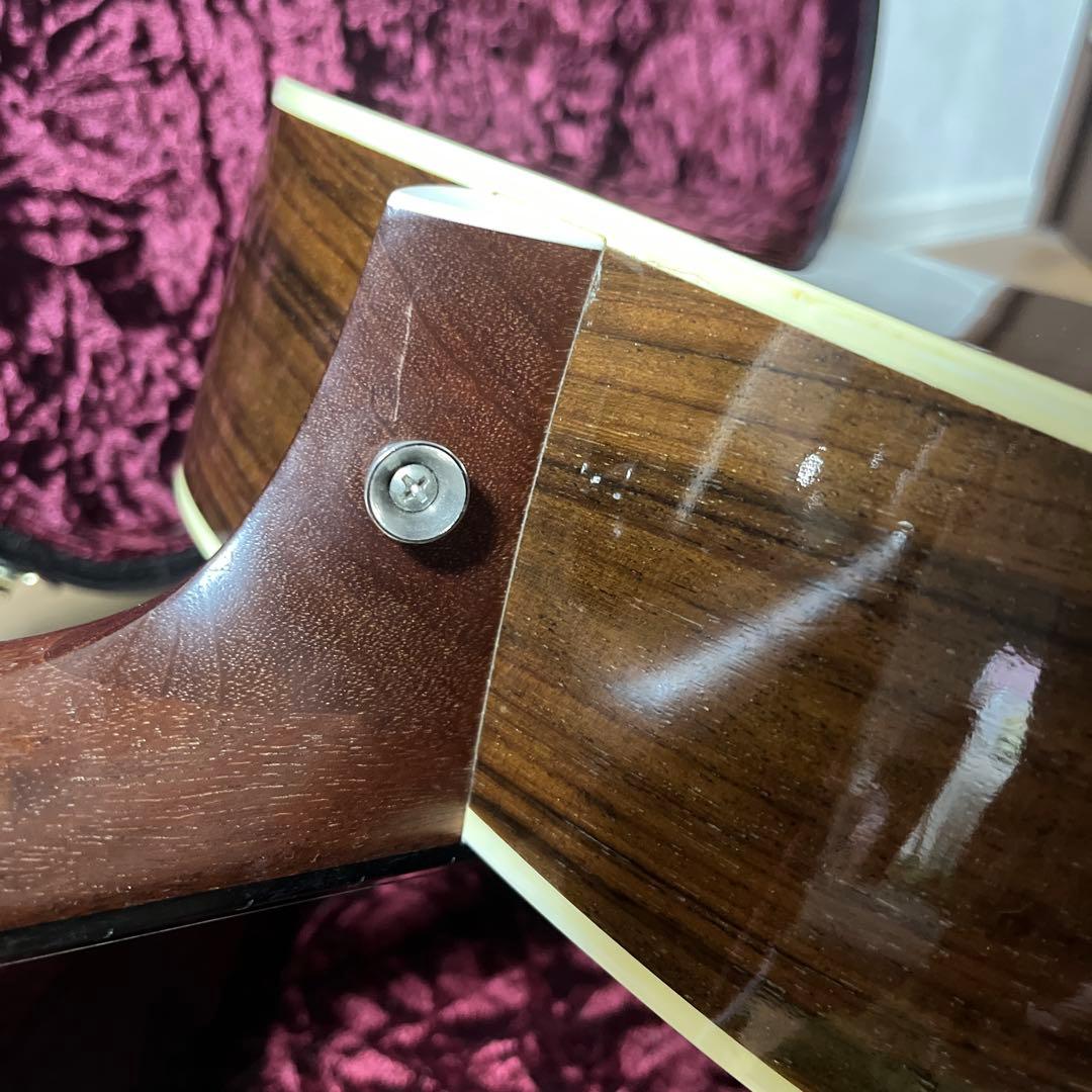 Taylor 210DLX 2015年製 ハードケース付