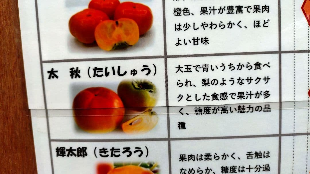 太秋柿 3年生 と小春3年生セット販売品！