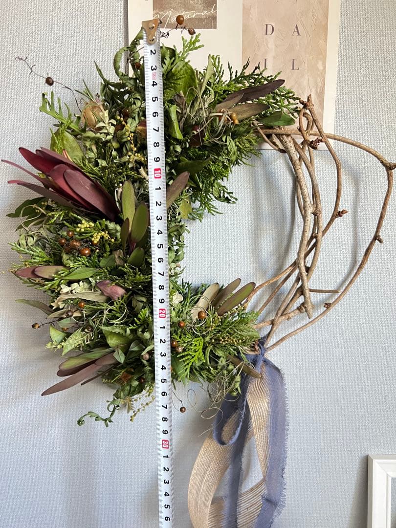 【SALE】リューカデンドロン⋆︎*シックなハーフリース♪ミモザ蕾⑅︎