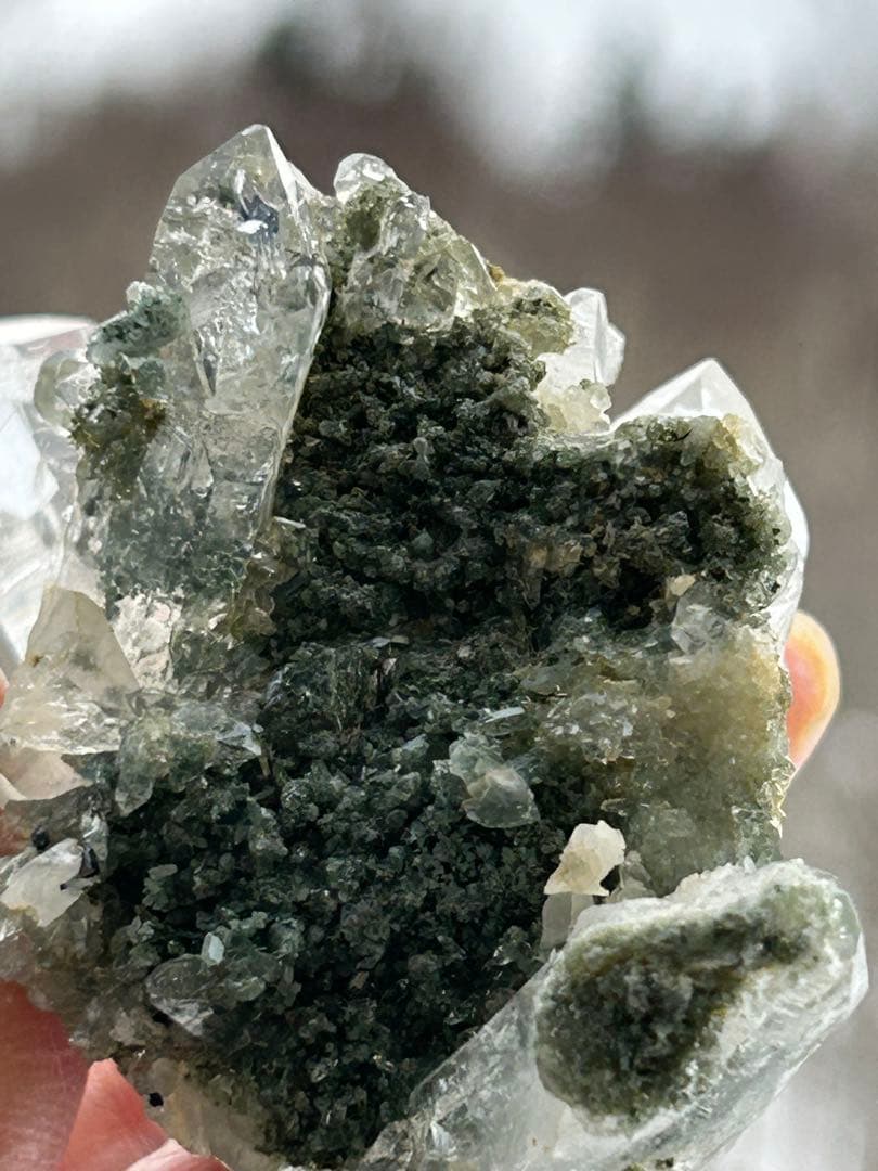 インド　マニハール産 グリーンクローライト共生　光を纏う水晶クラスター