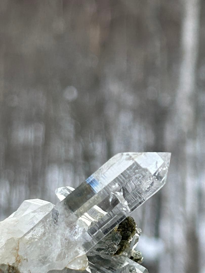 インド　マニハール産 グリーンクローライト共生　光を纏う水晶クラスター