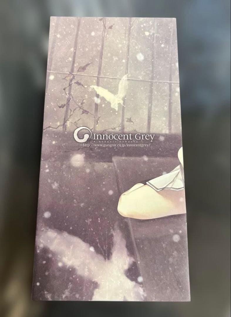 Innocent Grey 　虚の少女 リーフレット 冊子 チラシ 杉菜水姫