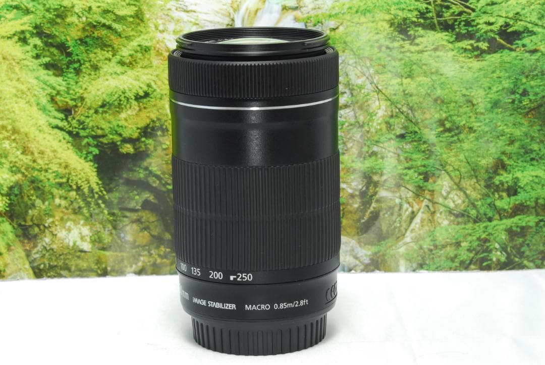 ✨STMを搭載した望遠レンズ✨Canon EF-S 55-250㎜ IS STM