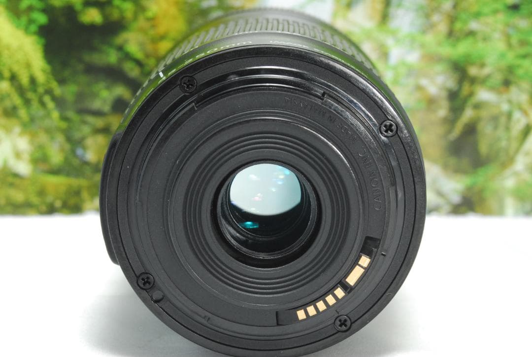 ✨STMを搭載した望遠レンズ✨Canon EF-S 55-250㎜ IS STM