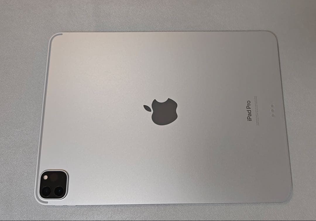 iPad Pro 11インチ 第4世代 256GB、Apple Pencil付き