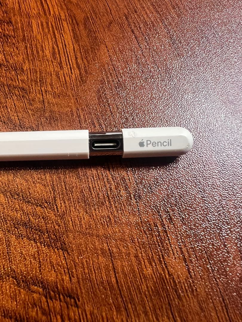 Apple Pencil アップルペンシル USB-C タッチペン