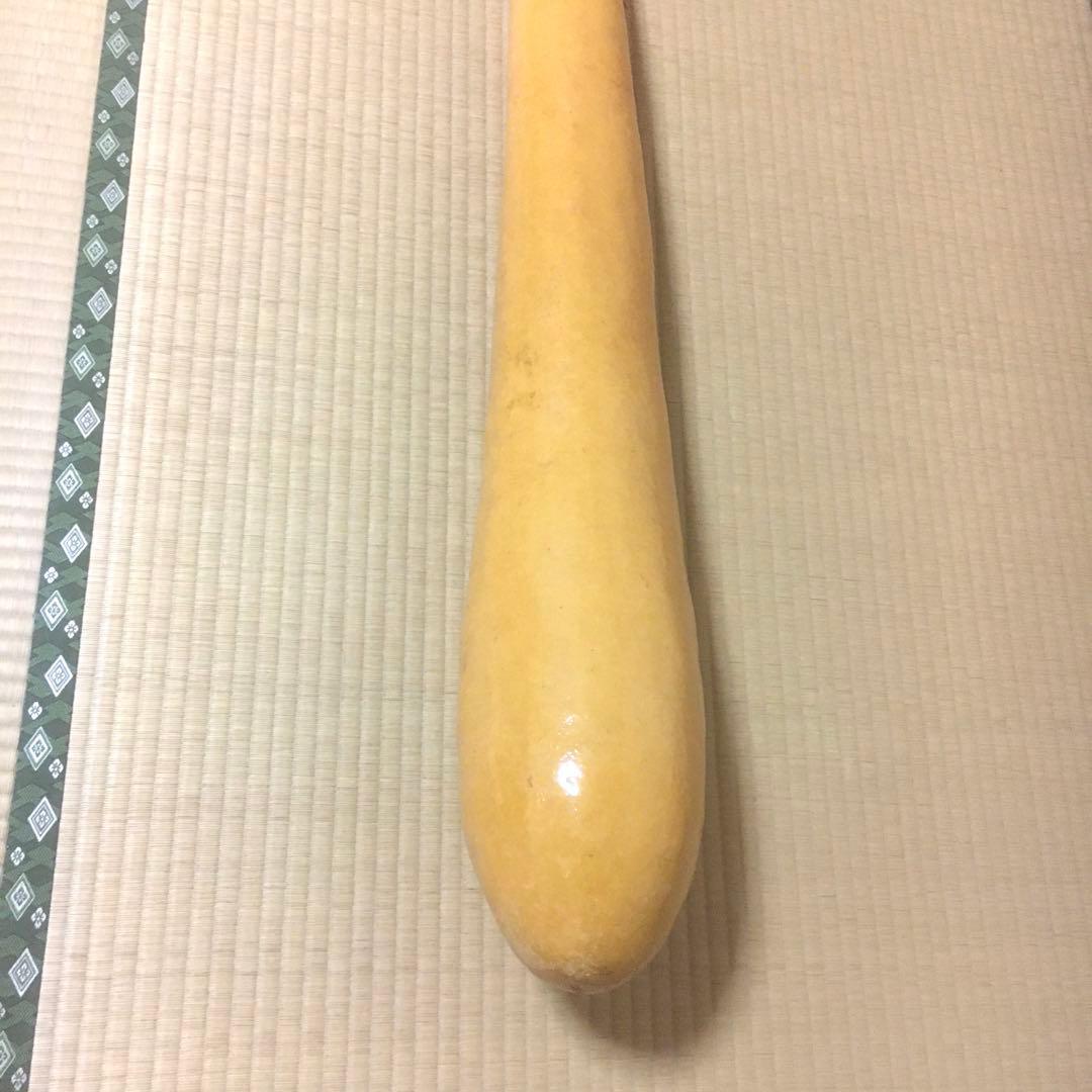 巨大特大ひょうたん　大型飾り瓢箪　縁起物　　　　栓、赤飾り紐付き　　151cm