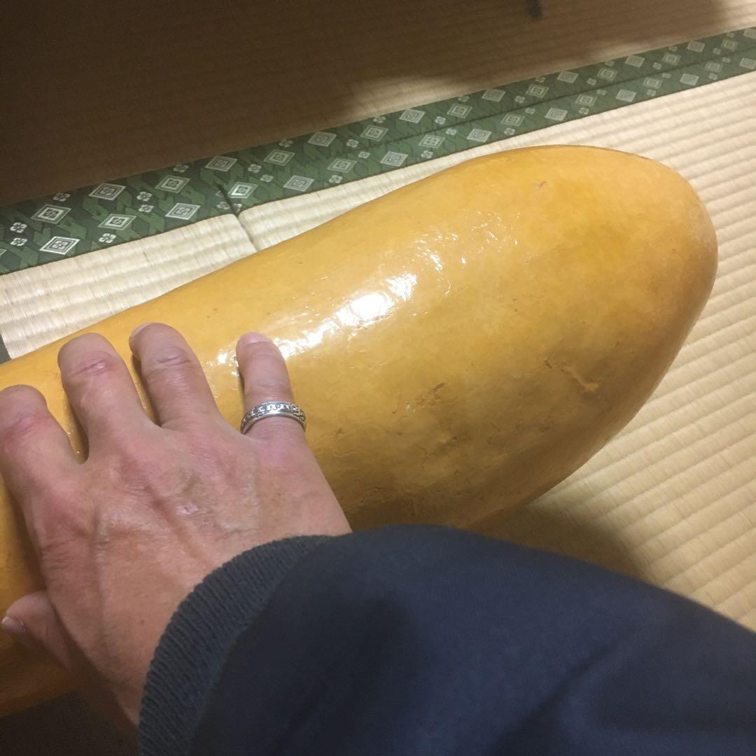 巨大特大ひょうたん　大型飾り瓢箪　縁起物　　　　栓、赤飾り紐付き　　151cm