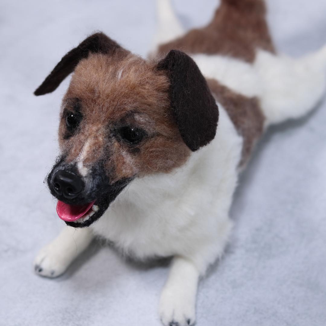 羊毛フェルト　Yu様　ジャックラッセル　インコ　犬　小鳥　ハンドメイド　オーダー