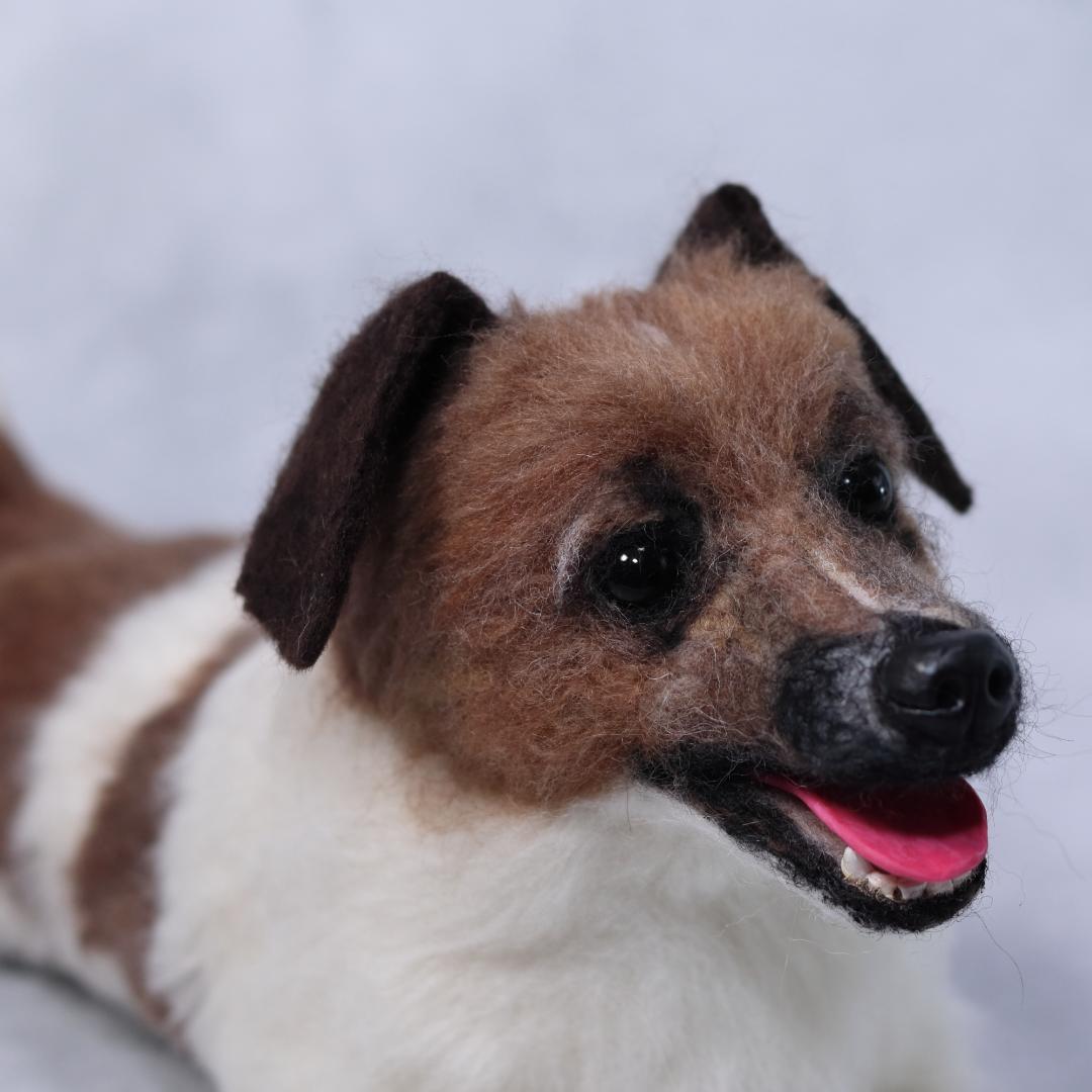 羊毛フェルト　Yu様　ジャックラッセル　インコ　犬　小鳥　ハンドメイド　オーダー