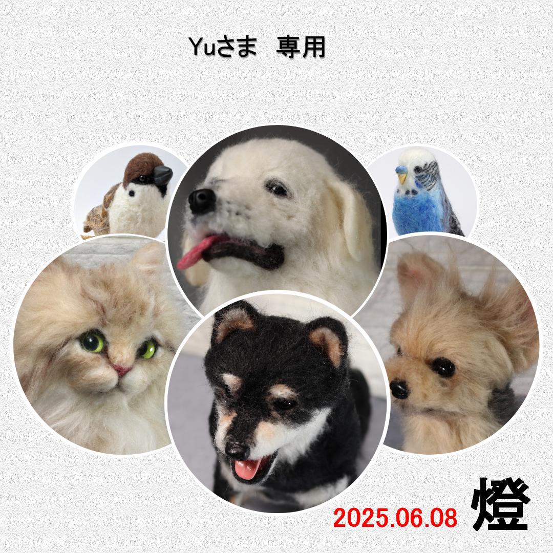 羊毛フェルト　Yu様　ジャックラッセル　インコ　犬　小鳥　ハンドメイド　オーダー
