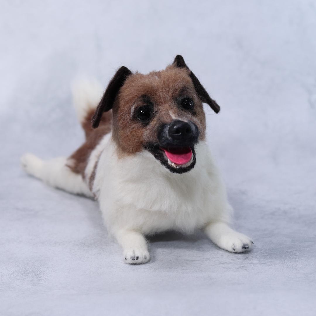 羊毛フェルト　Yu様　ジャックラッセル　インコ　犬　小鳥　ハンドメイド　オーダー