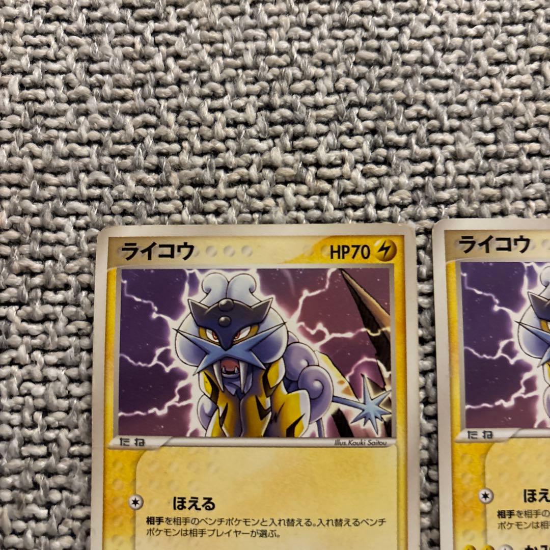 ポケパーク　ライコウ